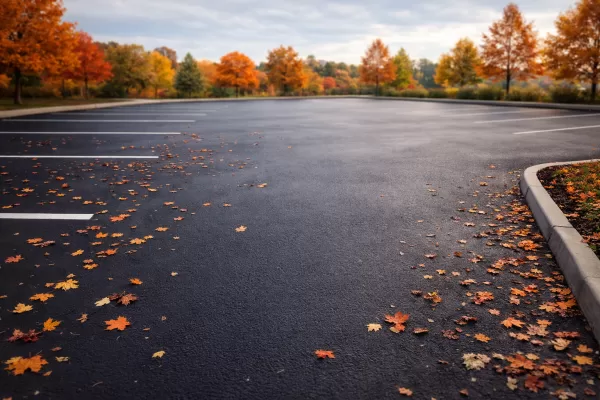 Clean, well-maintained commercial asphalt parking lot with a smooth, uniform dark surface, lightly scattered autumn leaves, and subtle early-fall trees in the background. No visible people, vehicles, logos, or text.