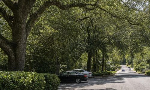Text-free asphalt lot beside a gently rolling, tree-canopied Tallahassee road.